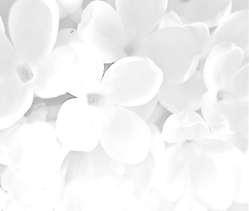 gallery-images
