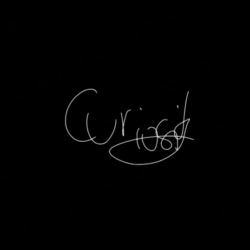 CURIOSITY | BLACK