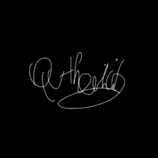 AUTHENTICITY | BLACK